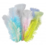 Feathers - Pastel 10g