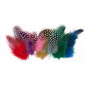 Guinea Fowl Feathers 10g Assorted (Pack of 100)
