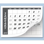 Calendar Tabs A4 2020 (Pack of 10)