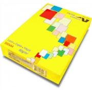 Copy Paper A4 - Daffodil (500 Sheets)